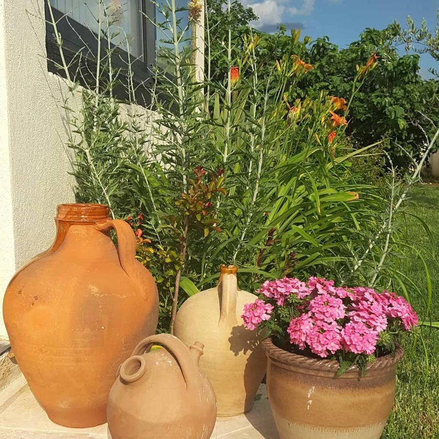 Philoxenia Bed & Breakfast Pourrieres Екстериор снимка