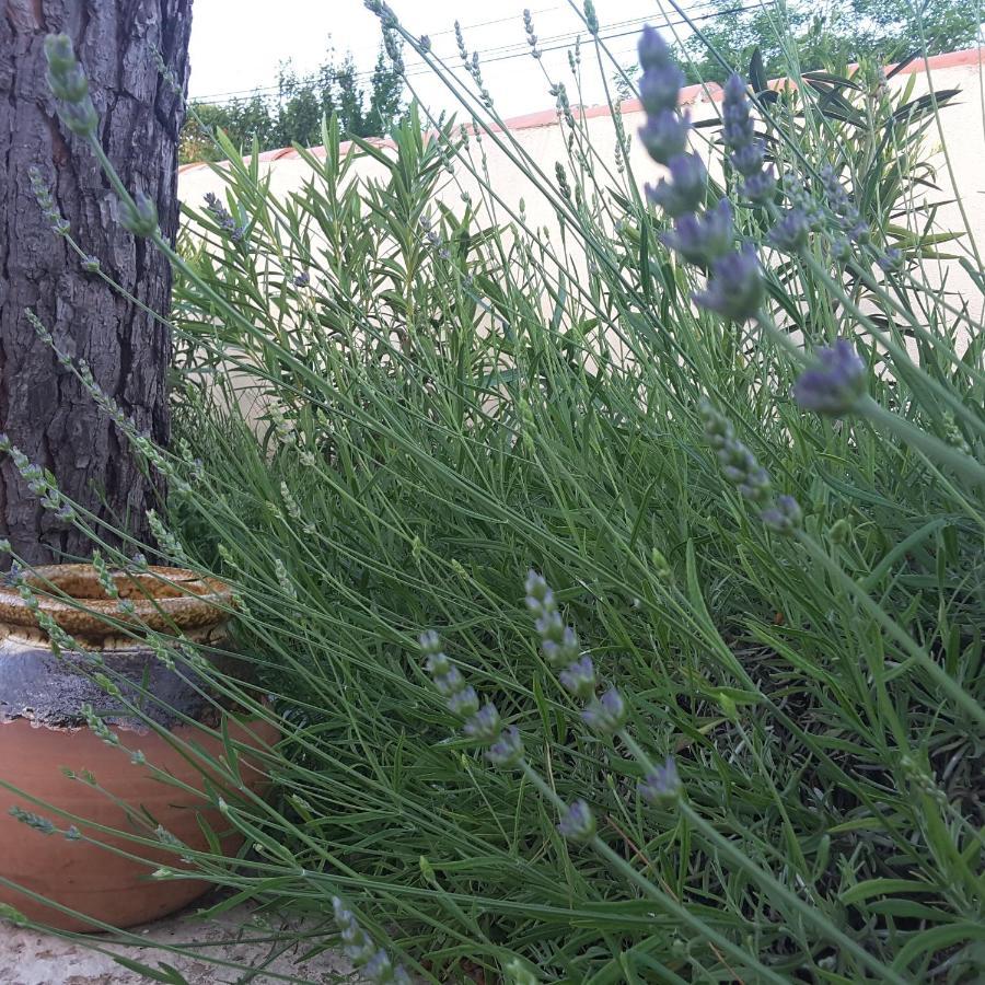 Philoxenia Bed & Breakfast Pourrieres Екстериор снимка